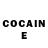 COCAIN Fish Scale Julie Lott
