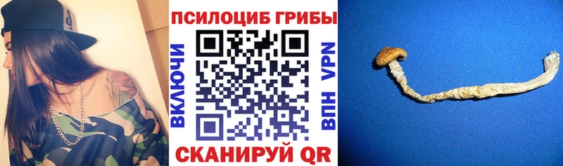 Псилоцибиновые грибы Cubensis  дарк нет состав  Дятьково  где купить наркотик 