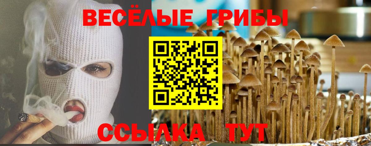где купить наркотик  Галлюциногенные грибы мухоморы  Дятьково  Псилоцибиновые грибы MAGIC MUSHROOMS 