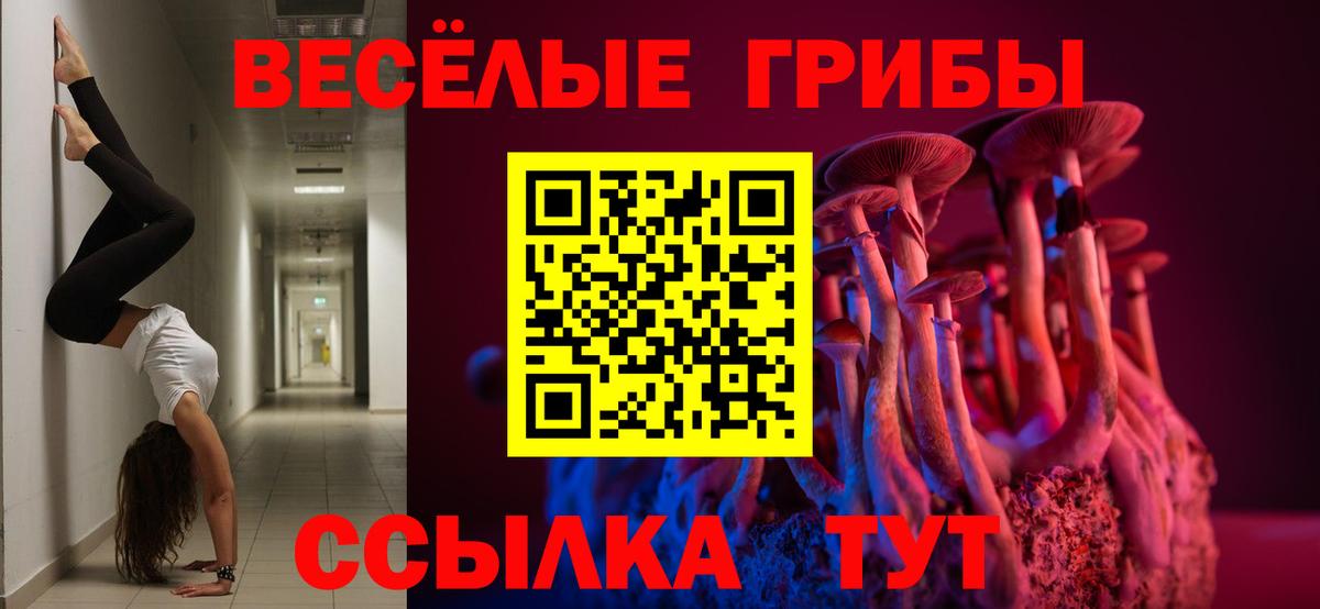Псилоцибиновые грибы Cubensis Дятьково
