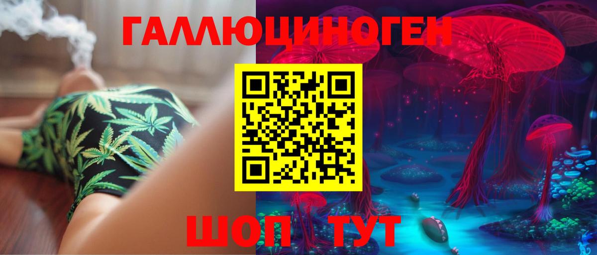 Галлюциногенные грибы Psilocybine cubensis Дятьково