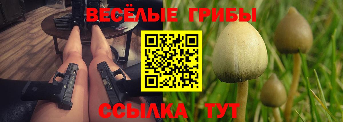 Псилоцибиновые грибы Psilocybe  Вход с VPN  Дятьково 