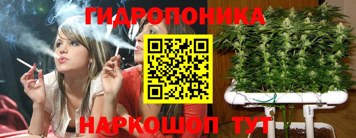 Бошки марихуана гибрид Дятьково